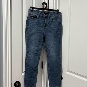 Judy Blue Dark Wash Skinny Jeans